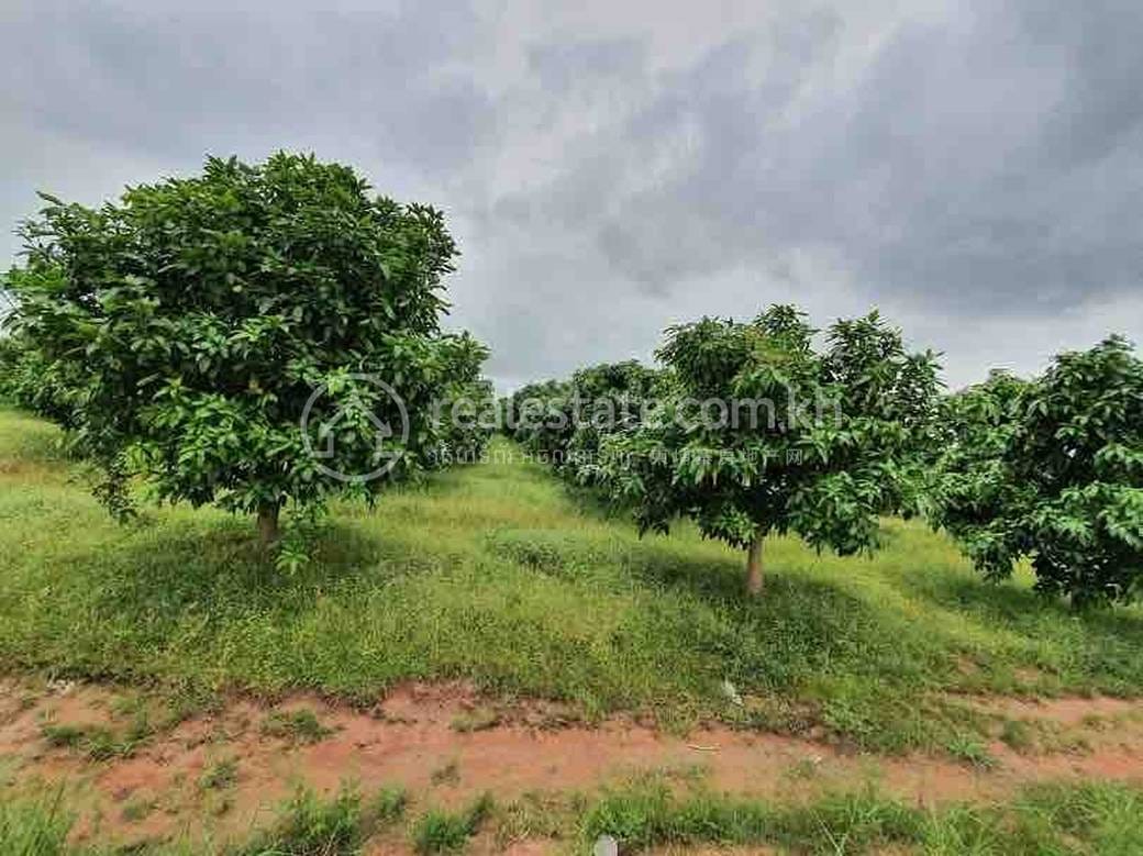Damnak Chang'aeur Pozemky Na prodej in Pong Tuek Damnak Chang'aeur $75,000