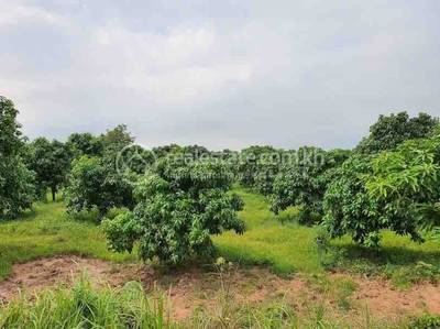 residential Land/Development for sale in Pong Tuek ID 213994