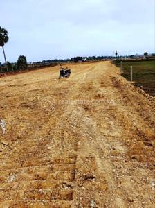 20 20, ឈ្វាំង, ពញាឮ, កណ្ដាល