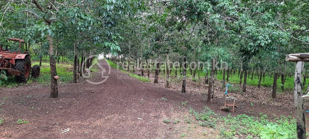 295,000 sqm Land Size Lot Na prodej for $590,000