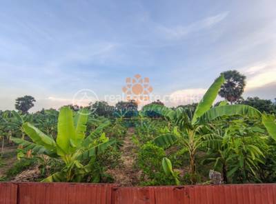    , ស្វាយដង្គំ, សៀមរាប, សៀមរាប