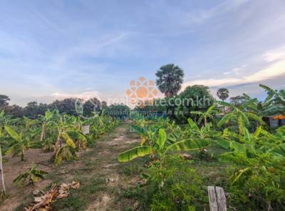    , ស្វាយដង្គំ, សៀមរាប, សៀមរាប