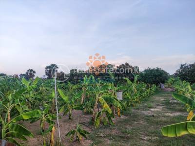    , ស្វាយដង្គំ, សៀមរាប, សៀមរាប