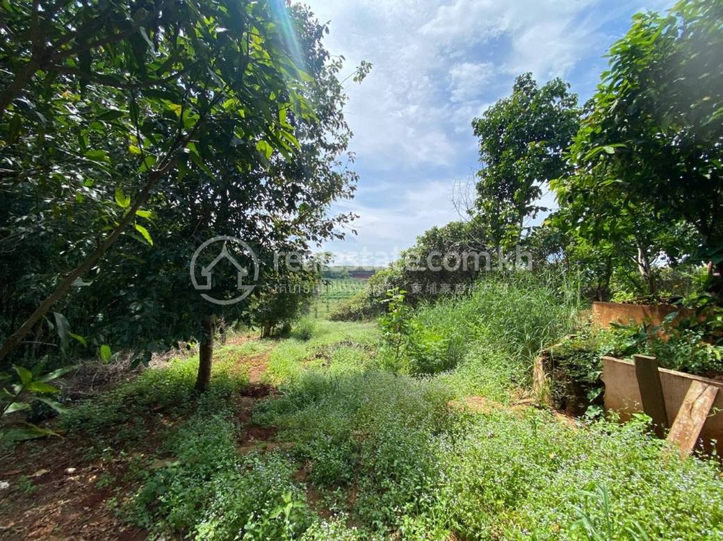 Kachanh Земля Для Продажи in Kachanh