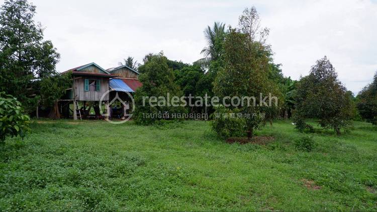 La Plantation Kompot, Koun Satv, Tuek Chhou, Kampot