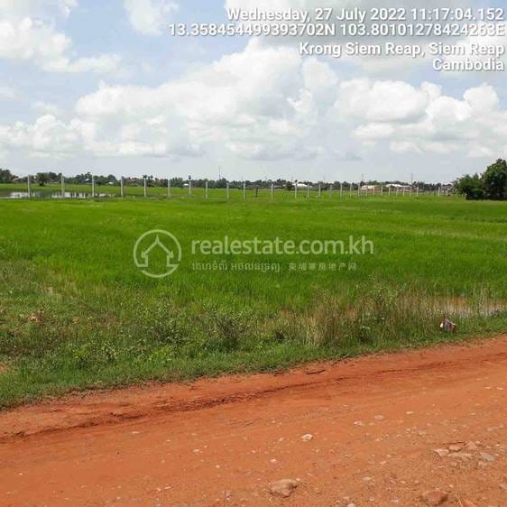 Siem Reap土地出售，价格$130,000