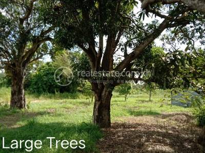   , អណ្ដូងខ្មែរ, កំពត, កំពត