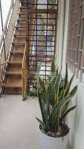   , Toul Svay Prey 2, Chamkarmon, Phnom Penh