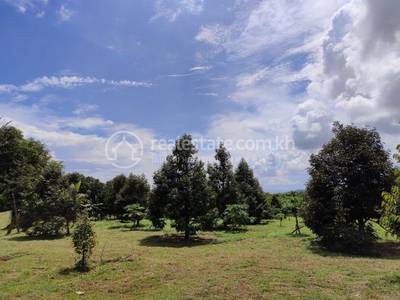 Koun Satv, Tuek Chhou, Kampot