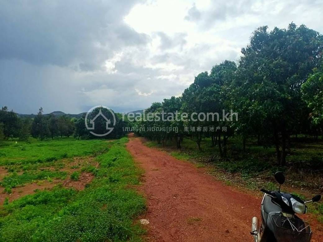 Tuek Chhou Lot For Sale in Koun Satv Tuek Chhou $720,000