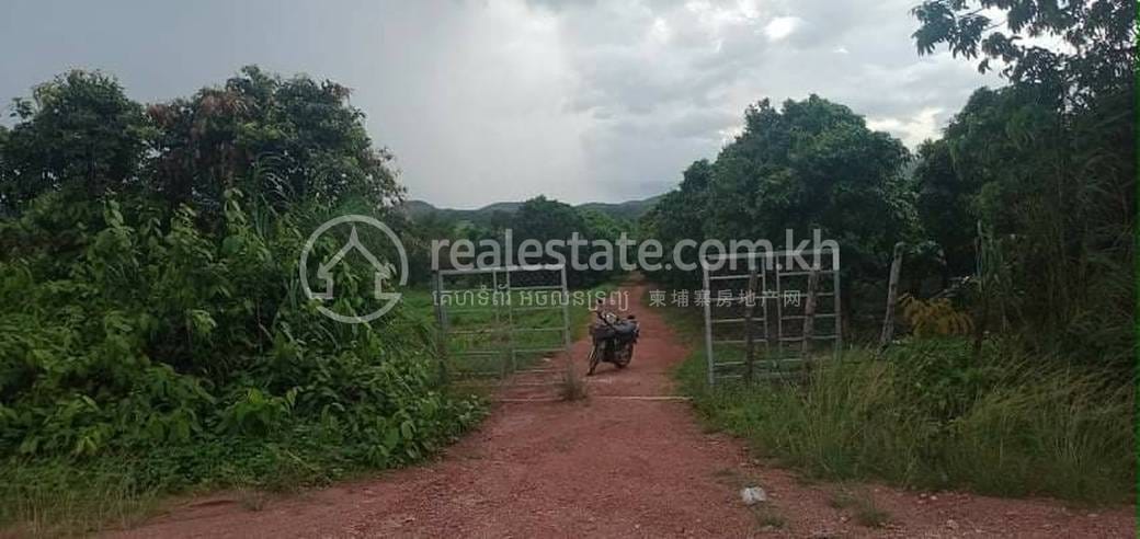 Tuek Chhou Lot For Sale in Tuek Chhou
