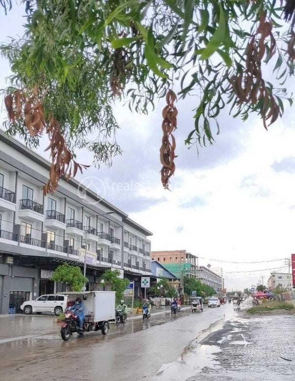 Flat House Na prodej in Prey Sa, Dangkao, Phnom Penh