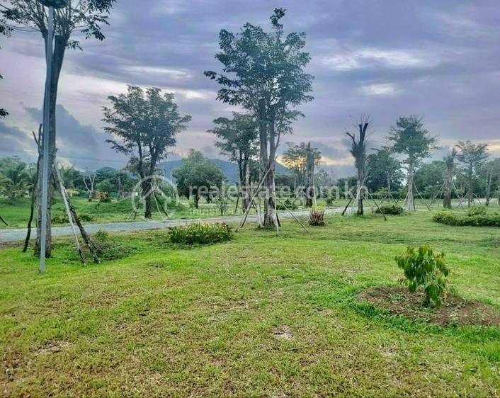 Damnak Chang'aeur ที่ดิน สำหรับขาย ใน Damnak Chang'aeur