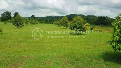 អង្កោល, ដំណាក់ចង្អើរ, កែប