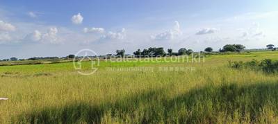 residential Land/Development for sale in Svay Romiet ID 221483