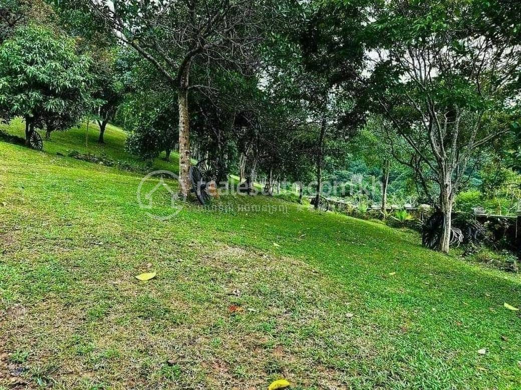 8,275 sqm Land Size Pozemky Na prodej for $780,000