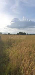 residential Land/Development for sale in Preah Srae ID 222365