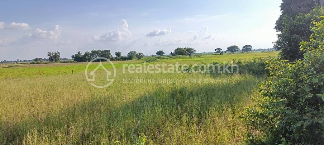 Khsach Kandal Działka Na sprzedaż w Khsach Kandal