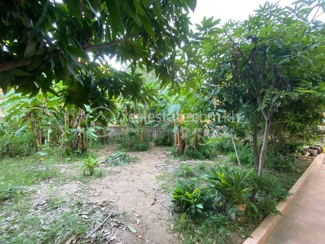 ដី សំរាប់ជួល ទំហំដី 391 ម៉ែត្រការ៉េ ក្នុងតម្លៃ $1,700