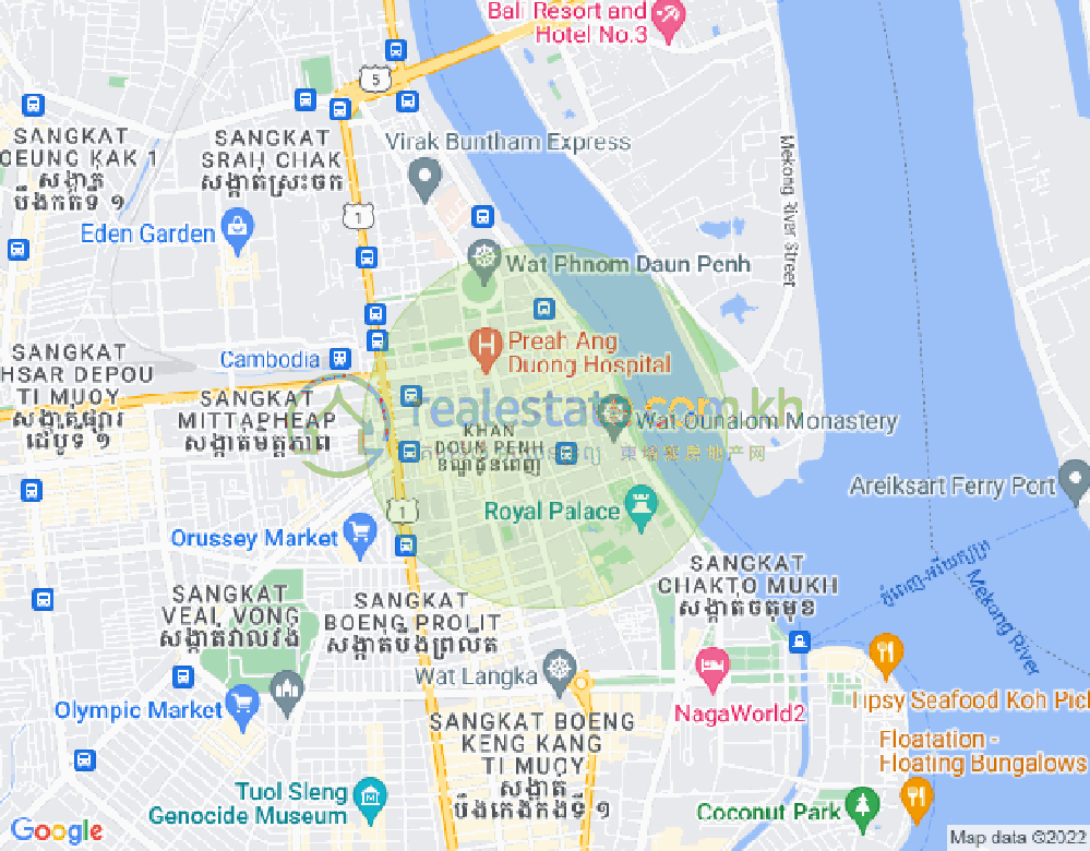 下市仔1分区, 隆边区, 金边地图