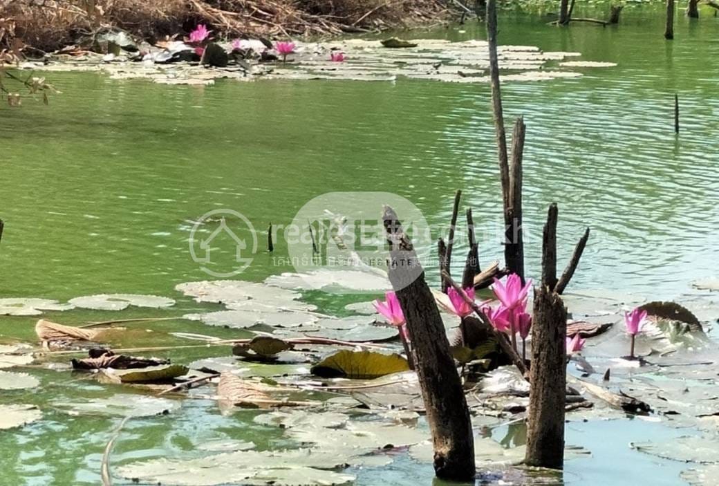 Stueng Hav Lot สำหรับขาย ใน Stueng Hav