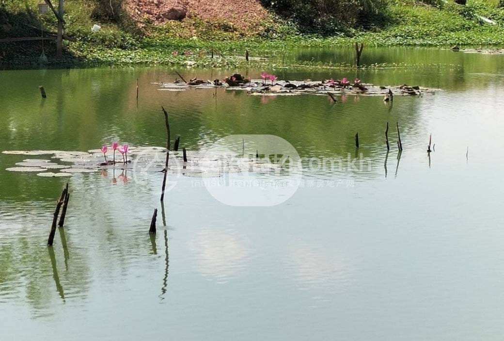 Lot สำหรับขาย ขนาดที่ดิน 106,168 ตร.ม. ราคา $1
