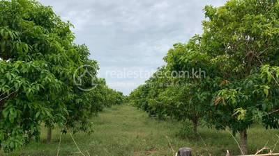     , Svay Chuk, Sameakki Mean Chey, Kampong Chhnang