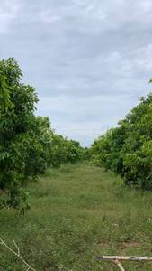     , Svay Chuk, Sameakki Mean Chey, Kampong Chhnang