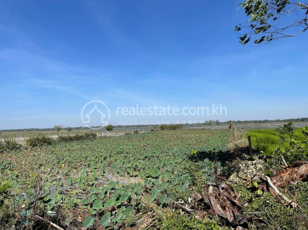 Kampong Chamlang, Khsach Kandal에 있는 Khsach Kandal 토지 매매 $775,572
