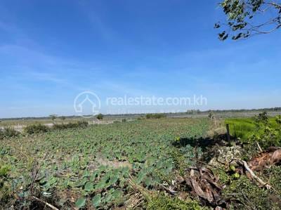 Kampong Chamlang, Khsach Kandal에 있는 Khsach Kandal 토지 매매 $775,572