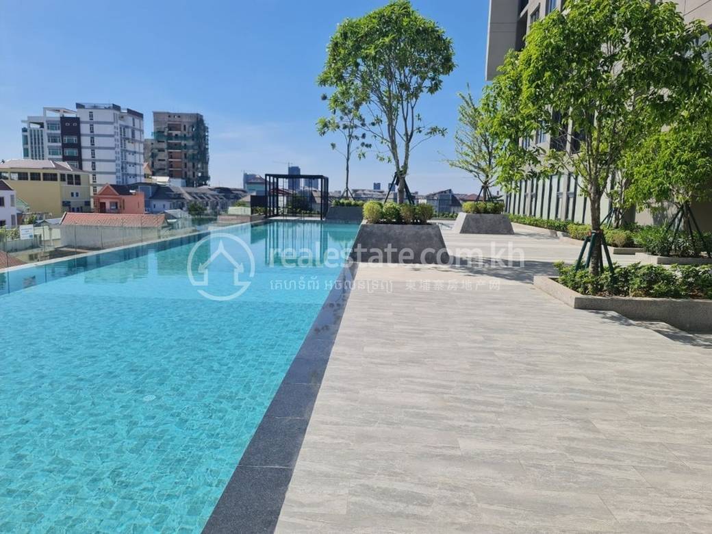 Chip Mong | Park Land TK Condo | 已装修公寓For Sale & Rent
