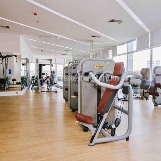Chamkarmon Apartment For Rent in Chamkarmon