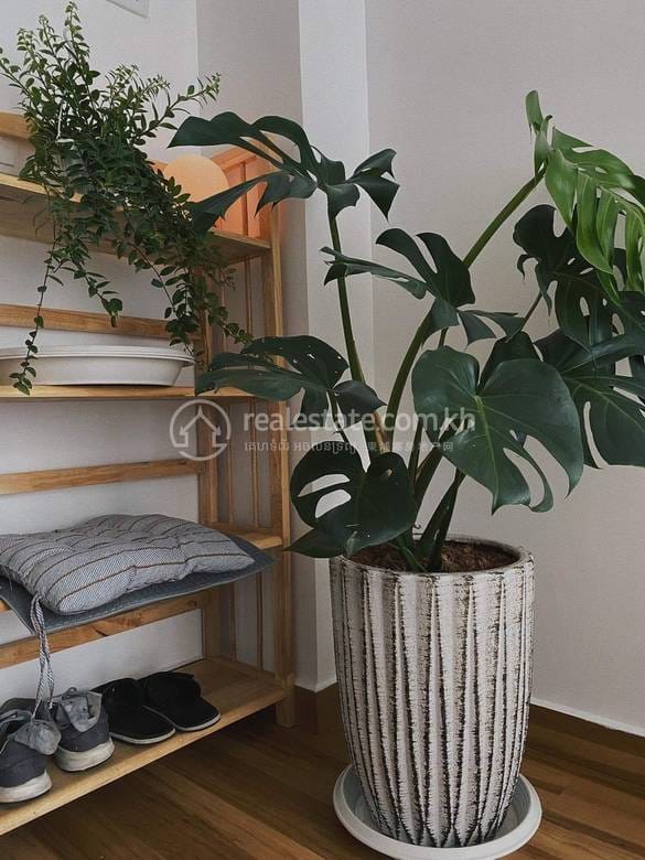 Toul Kork Condo K pronájmu in Toul Kork