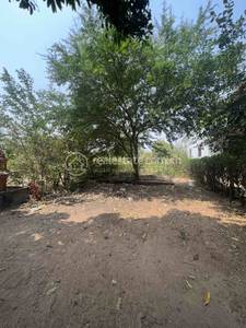 residential Land/Development for sale in Preah Srae ID 228638