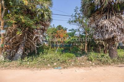  , Svay Dangkum分区, 暹粒省, 暹粒省