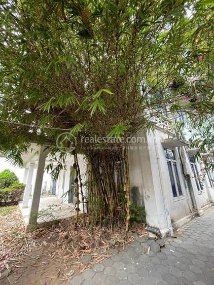 Daun Penh别墅出租，位于Daun Penh