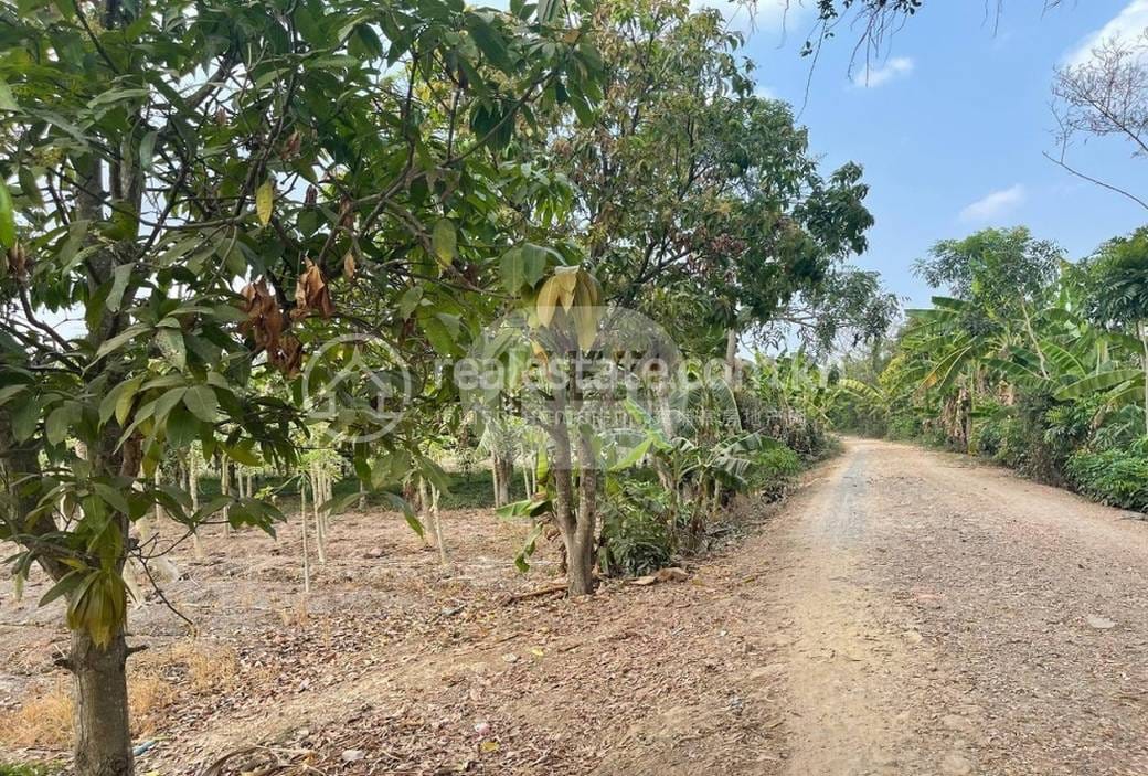 Preaek Koy Lot For Sale in Preaek Koy