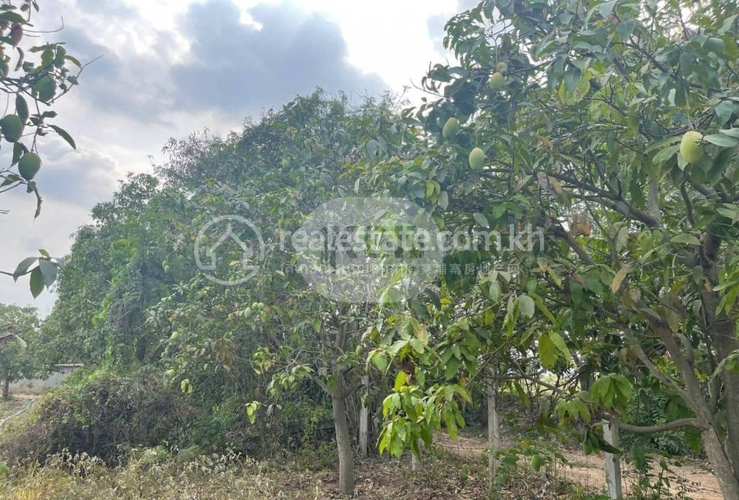 S'ang Lot For Sale in S'ang