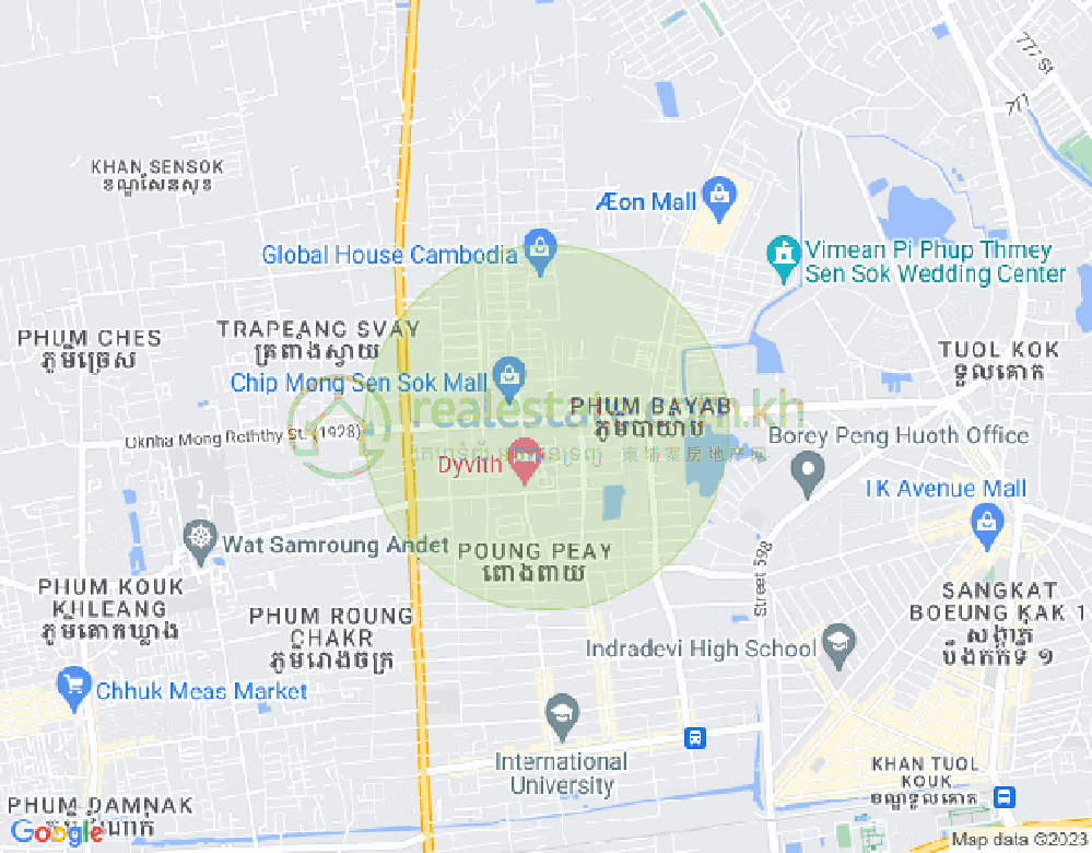 新金边, 森速区, 金边地图
