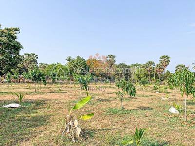  , រុនតាឯក, បន្ទាយស្រី, សៀមរាប