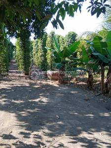 ផ្លូវជាតិ៧៦ 76, Pir Thnu, Snuol, Kratie
