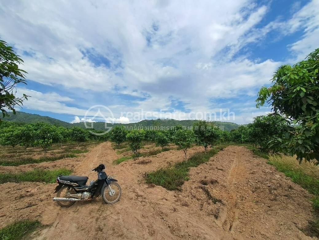Tuek Chhou土地出售，价格$900,000