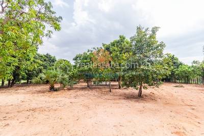 , ស្វាយដង្គំ, សៀមរាប, សៀមរាប