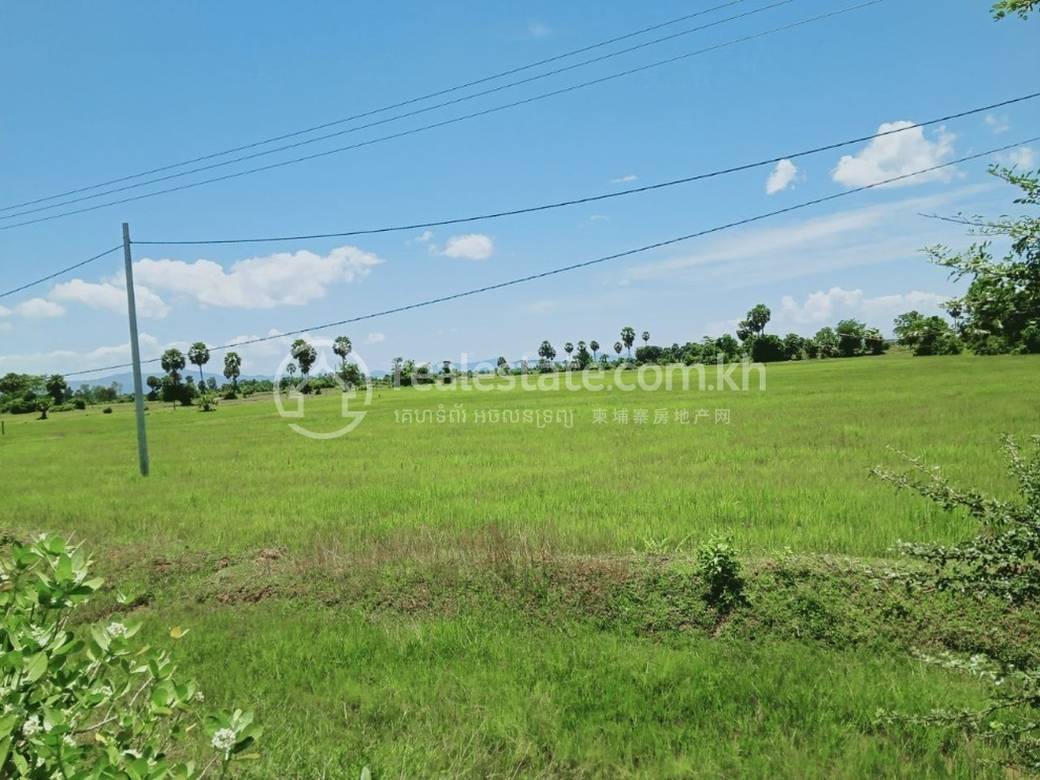 Ou Saray ที่ดิน สำหรับขาย ใน Ou Saray
