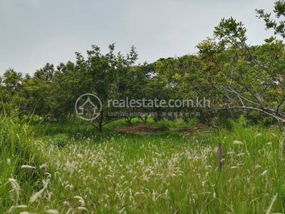  , វាលស្បូវ, ច្បារអំពៅ, ភ្នំពេញ