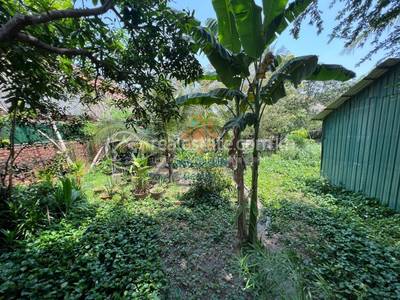 , Sala Kamraeuk, Siem Reap, Siem Reap