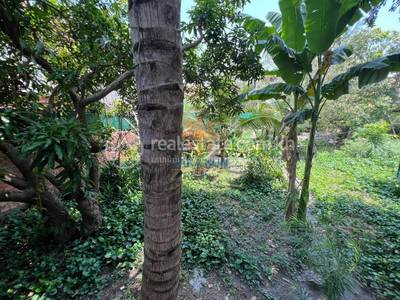  , Sala Kamraeuk, Siem Reap, Siem Reap