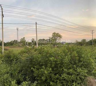 22 អង្គតាសោមមកខេត្តតាកែវ, Leay Bour县, Tram Kak市, 茶胶省