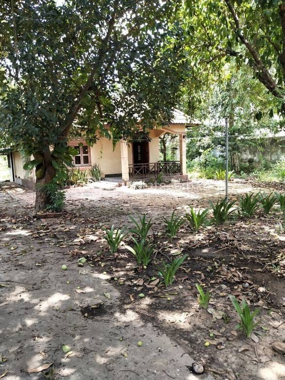 Pozemky Na prodej in Chbar Ampov $700,000