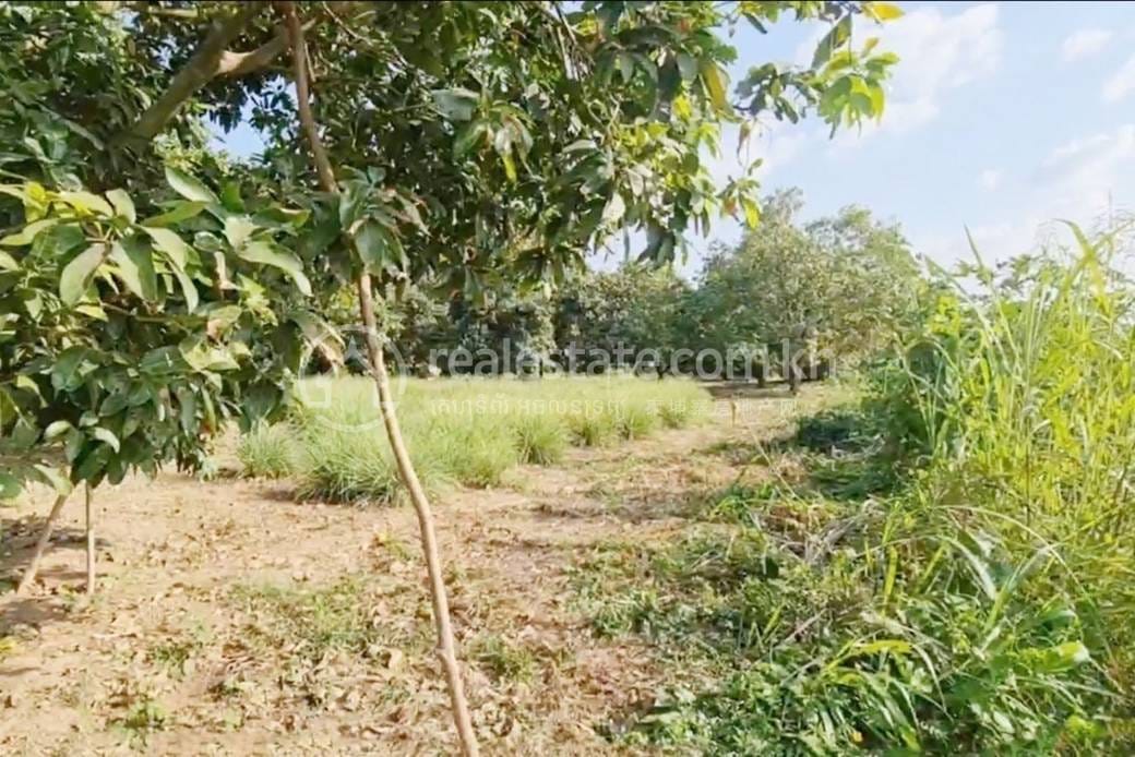 6,710 sqm Land Size Pozemky Na prodej for $3,000,000